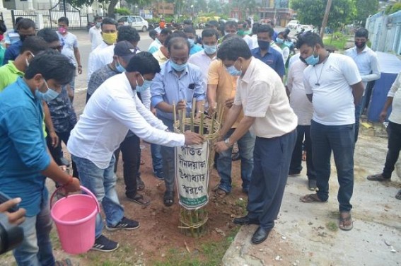 BJP held plantation drive BJP held plantation drive